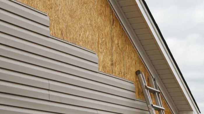 Cedar siding contractors near me